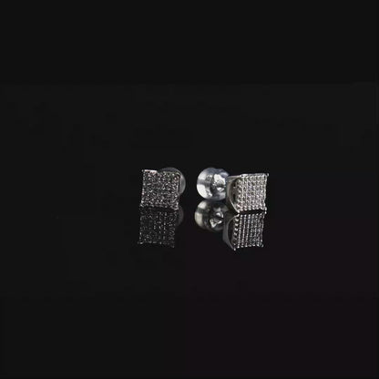 Silver Stud Earrings